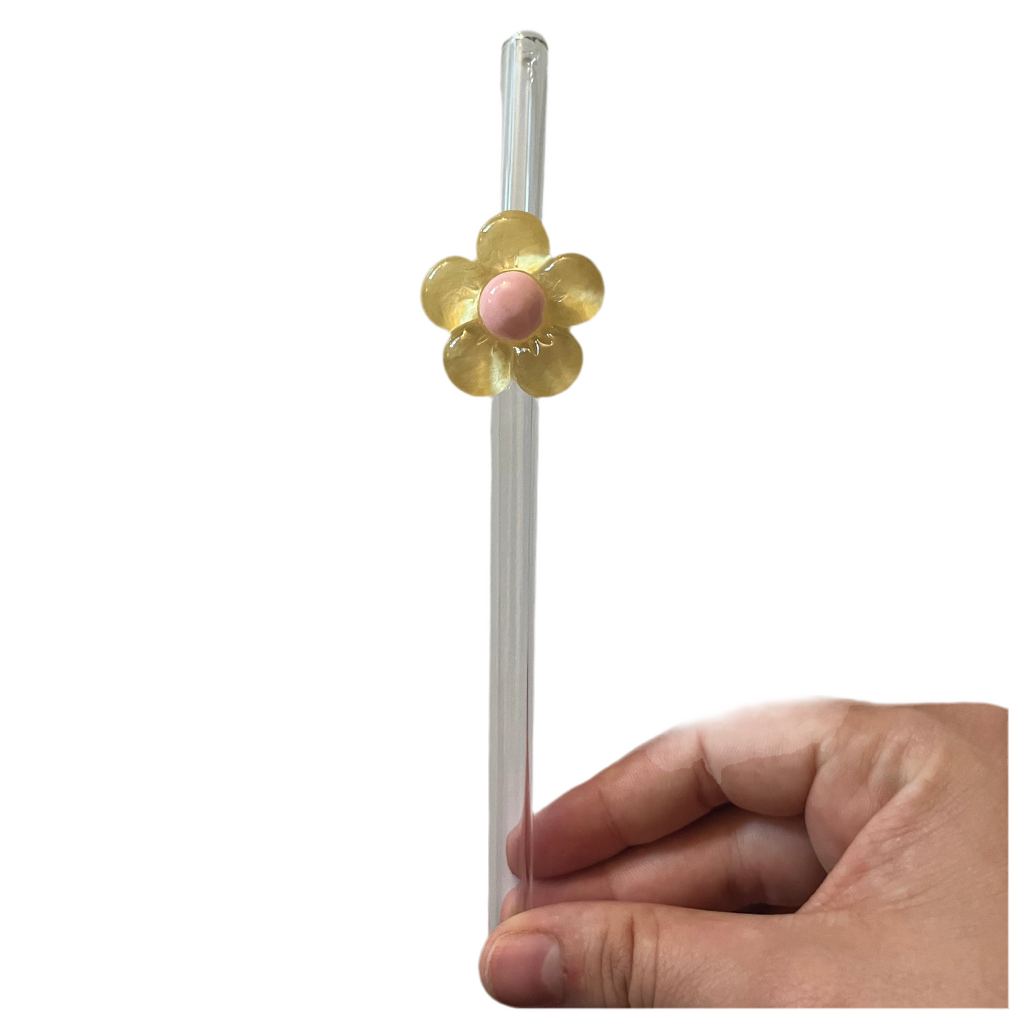 Glasstrohhalm Blume