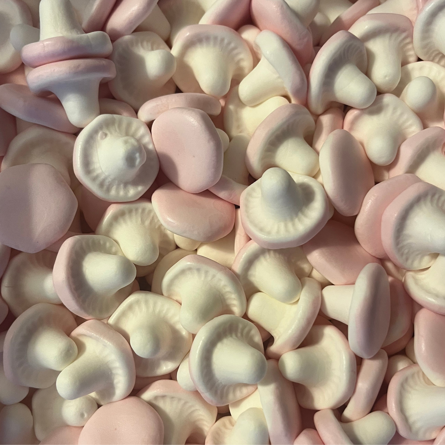 Süsse Pilze 100gr (circa 40 Stk.)
