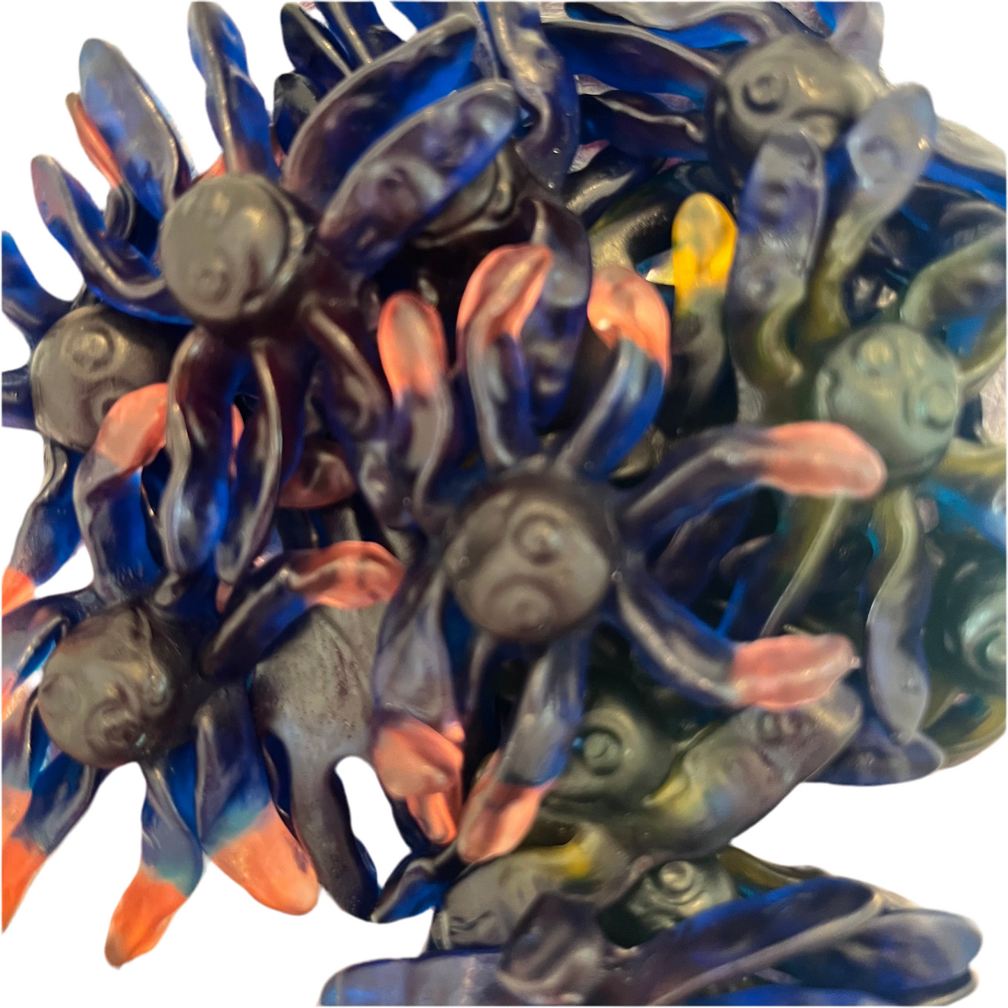 Tintenfisch 100gr (circa 7 Stk.)